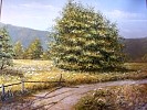 Robert Cieślak - Łąka