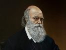 Robert Cieślak - Charles Darwin