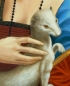 Leonardo da Vinci - Dama z łasiczką
